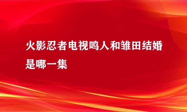 火影忍者电视鸣人和雏田结婚是哪一集