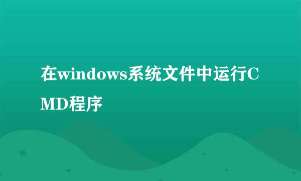 在windows系统文件中运行CMD程序