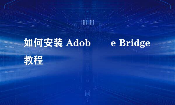 如何安装 Adob​​e Bridge教程