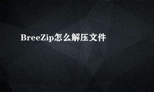 BreeZip怎么解压文件