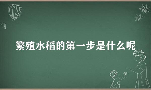 繁殖水稻的第一步是什么呢