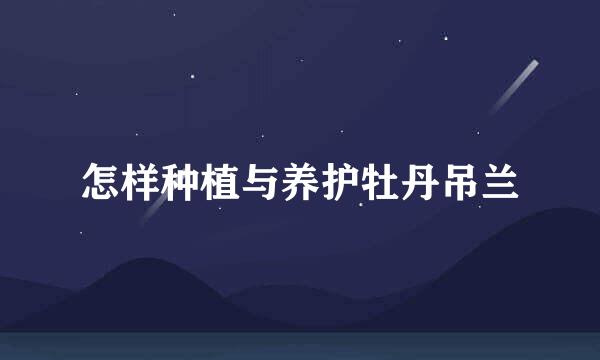 怎样种植与养护牡丹吊兰