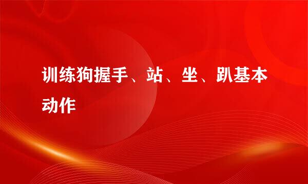 训练狗握手、站、坐、趴基本动作