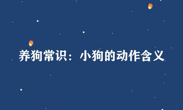 养狗常识：小狗的动作含义