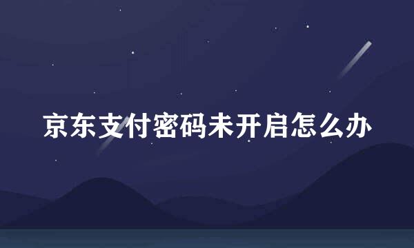 京东支付密码未开启怎么办