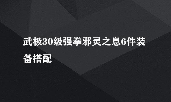 武极30级强拳邪灵之息6件装备搭配