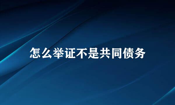 怎么举证不是共同债务