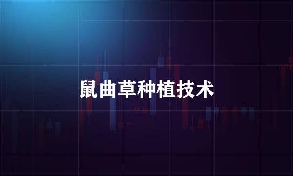 鼠曲草种植技术