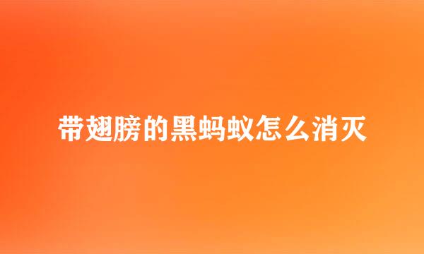 带翅膀的黑蚂蚁怎么消灭
