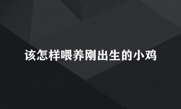 该怎样喂养刚出生的小鸡