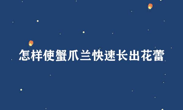 怎样使蟹爪兰快速长出花蕾
