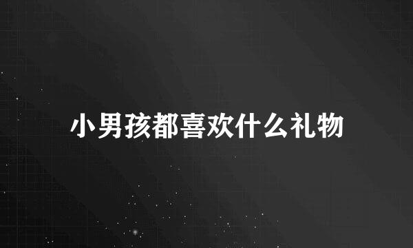 小男孩都喜欢什么礼物