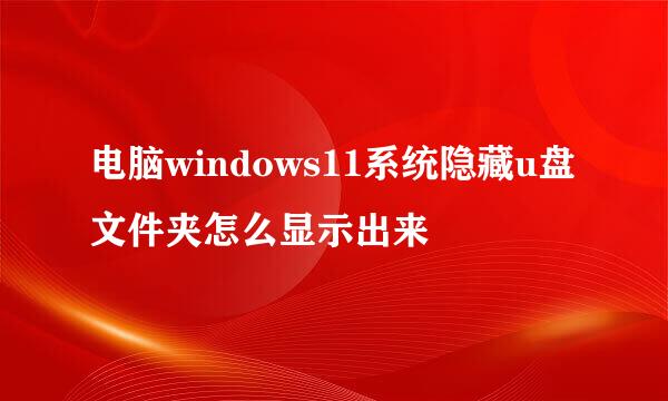 电脑windows11系统隐藏u盘文件夹怎么显示出来