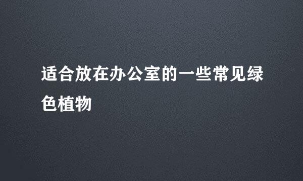 适合放在办公室的一些常见绿色植物