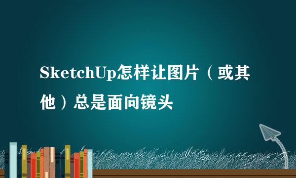 SketchUp怎样让图片（或其他）总是面向镜头