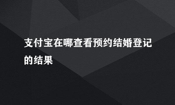 支付宝在哪查看预约结婚登记的结果