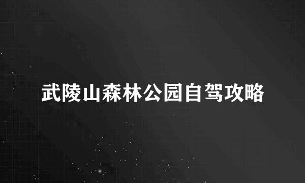 武陵山森林公园自驾攻略