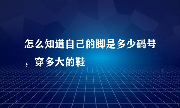 怎么知道自己的脚是多少码号，穿多大的鞋