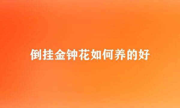 倒挂金钟花如何养的好