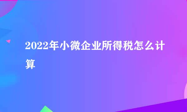 2022年小微企业所得税怎么计算