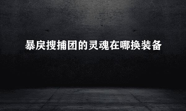 暴戾搜捕团的灵魂在哪换装备