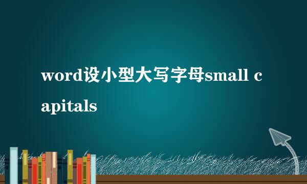 word设小型大写字母small capitals
