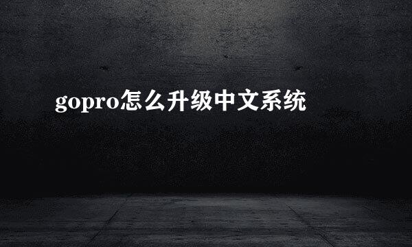 gopro怎么升级中文系统