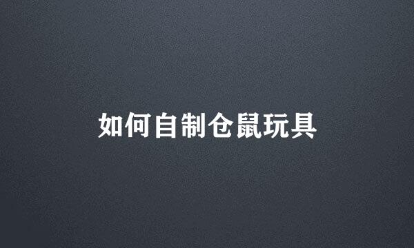 如何自制仓鼠玩具