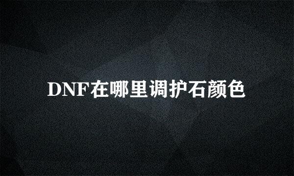 DNF在哪里调护石颜色