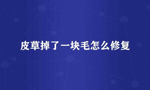 皮草掉了一块毛怎么修复