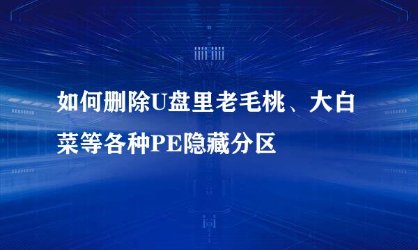 如何删除U盘里老毛桃、大白菜等各种PE隐藏分区