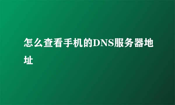怎么查看手机的DNS服务器地址