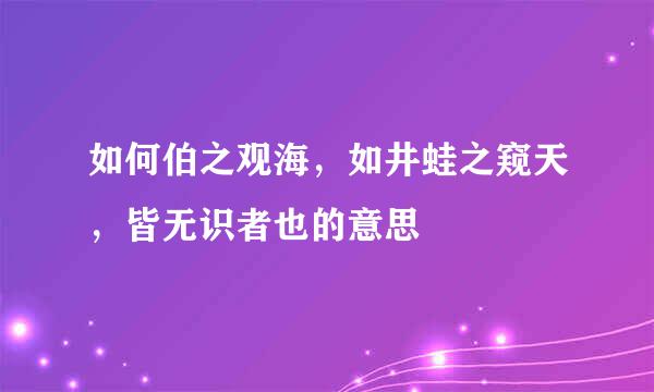如何伯之观海，如井蛙之窥天，皆无识者也的意思