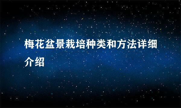 梅花盆景栽培种类和方法详细介绍