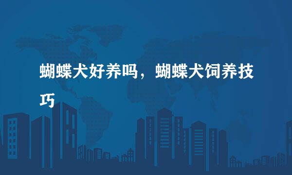 蝴蝶犬好养吗，蝴蝶犬饲养技巧