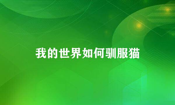 我的世界如何驯服猫