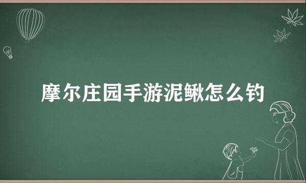 摩尔庄园手游泥鳅怎么钓