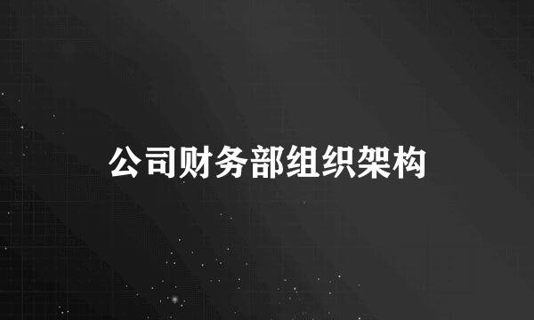公司财务部组织架构