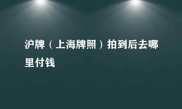 沪牌（上海牌照）拍到后去哪里付钱