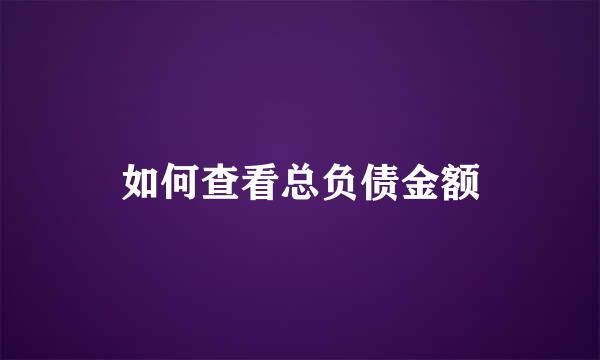 如何查看总负债金额