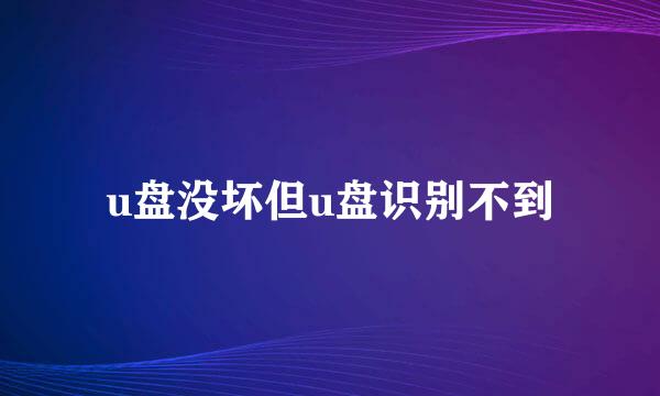 u盘没坏但u盘识别不到