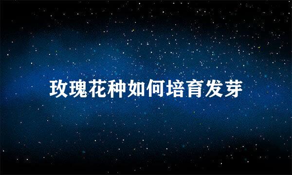 玫瑰花种如何培育发芽