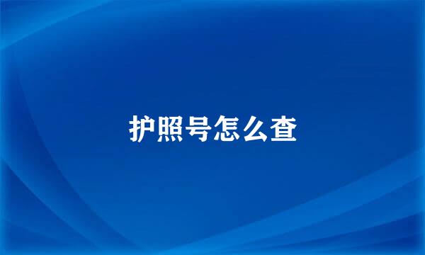 护照号怎么查