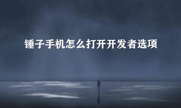 锤子手机怎么打开开发者选项