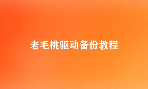 老毛桃驱动备份教程