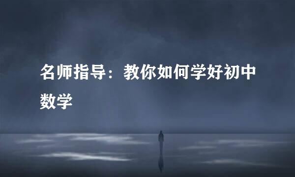 名师指导：教你如何学好初中数学
