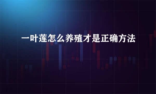 一叶莲怎么养殖才是正确方法