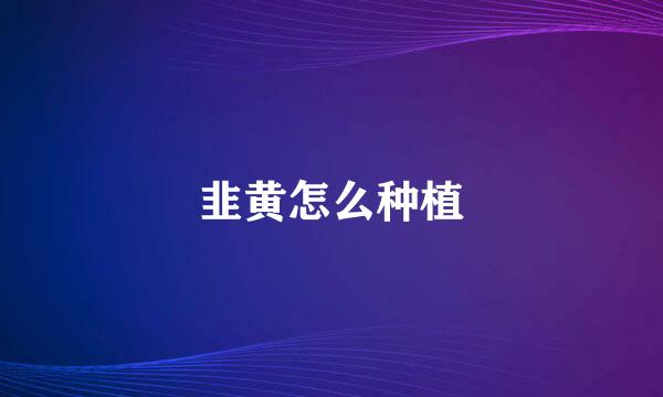 韭黄怎么种植