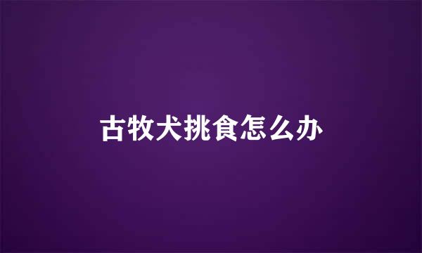 古牧犬挑食怎么办
