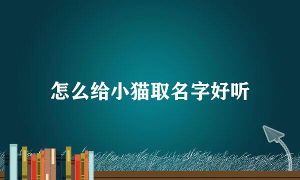 怎么给小猫取名字好听